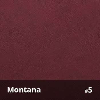 Montana 5